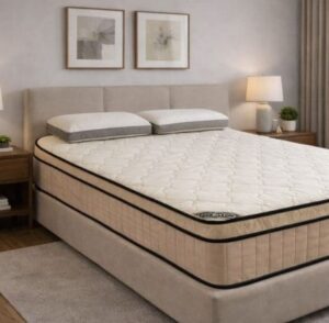 Mega Polymerim Picaso Mattress