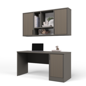 ספרייה דגם אמיתי