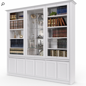Bookcase Model Matia